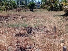  Residential Plot for Sale in Alibag, Raigad