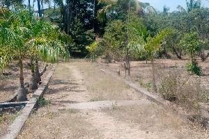 1 BHK Farm House for Sale in Alibag, Raigad