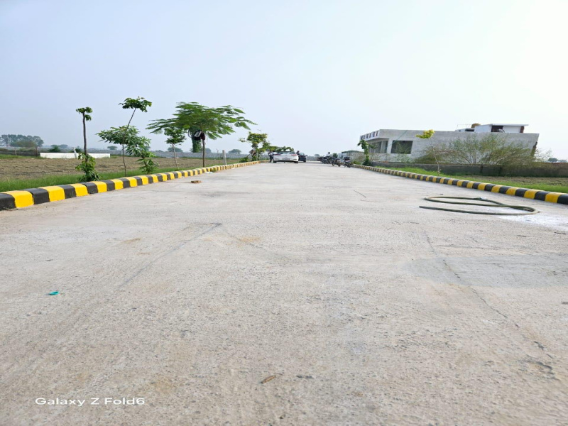  Residential Plot 1100 Bigha for Sale in Yamuna Expressway, Yamuna Expressway, Greater Noida