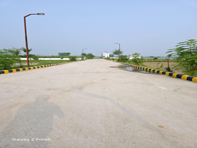  Residential Plot 1100 Bigha for Sale in Yamuna Expressway, Yamuna Expressway, Greater Noida