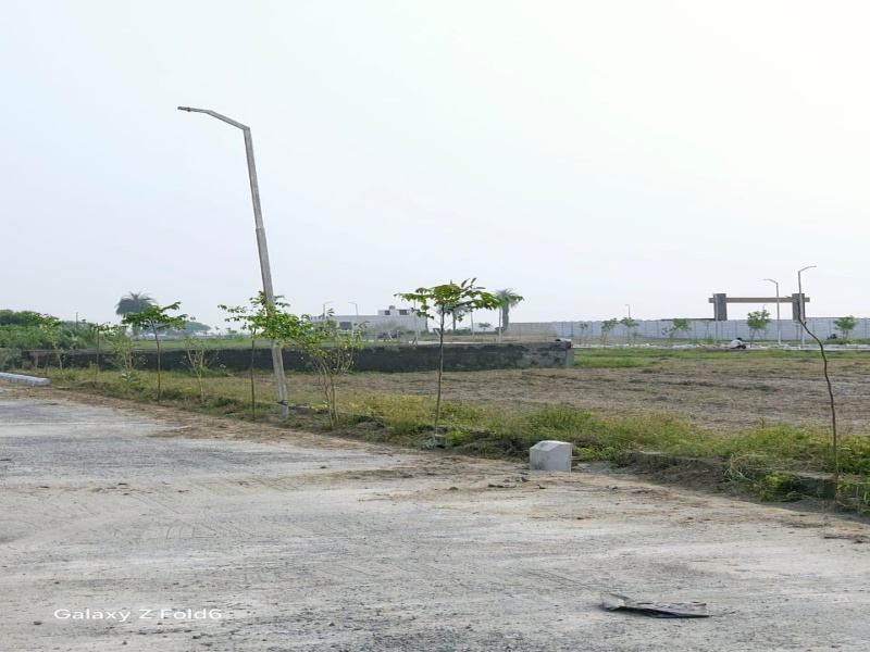  Residential Plot 500 Sq. Yards for Sale in Yamuna Expressway, Greater Noida