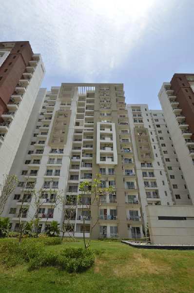 3 BHK Residential Apartment 2435 Sq.ft. for Sale in Sector 110 Noida