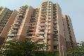 4 BHK Flat for Rent in Sector 135 Noida