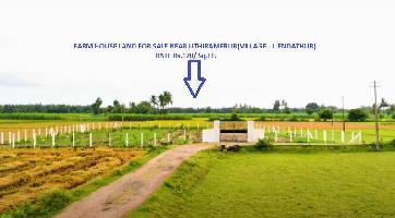  Agricultural Land for Sale in Chengalpet, Chennai