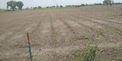  Agricultural Land for Sale in Ujjain Road, Indore