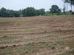  Residential Plot for Sale in Patiala Road, Zirakpur