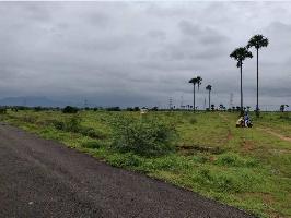  Agricultural Land for Sale in Cheranmadevi, Tirunelveli
