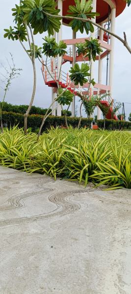  800 Sq.ft. Residential Plot for Sale in Ujjain Road, Indore