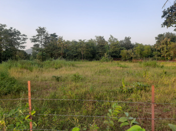  Agricultural Land for Sale in Shahapur, Thane