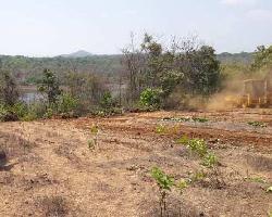  Agricultural Land for Sale in Indapur, Raigad