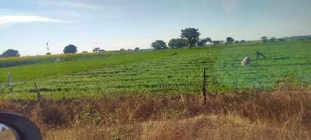  Agricultural Land for Sale in Boda, Rajgarh
