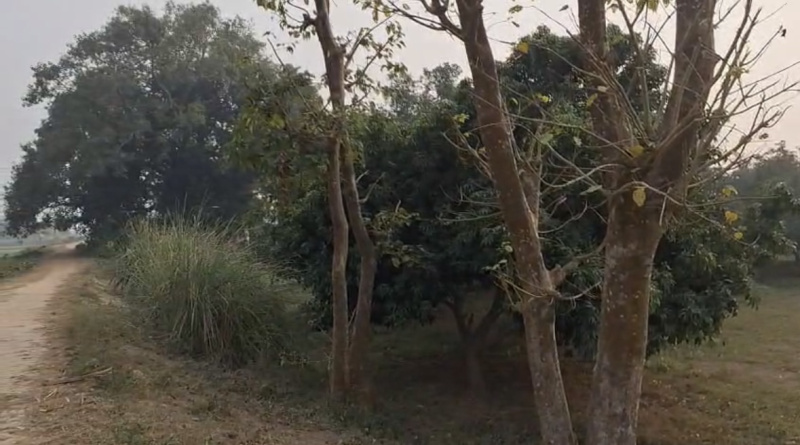  28 Katha Residential Plot for Sale in Bettiah, Champaran