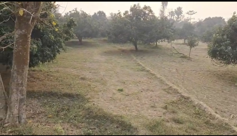  20 Katha Residential Plot for Sale in Raxaul Bazar, Champaran