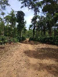  Agricultural Land for Sale in Sakleshpur, Hassan