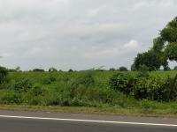 Agricultural Land 490050 Sq.ft. for Sale in Abu Road, Sirohi