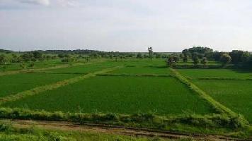  Agricultural Land for Sale in Mount Abu, Sirohi