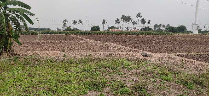 Agricultural Land 6 Acre for Sale in Dharapuram, Tirupur
