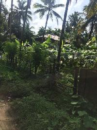  Residential Plot for Sale in Manalur, Thrissur