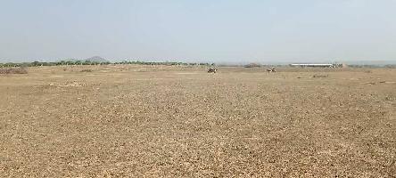  Agricultural Land for Sale in Amangal, Hyderabad
