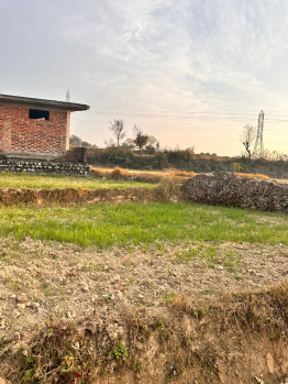  Residential Plot for Sale in Bhawarna, Kangra