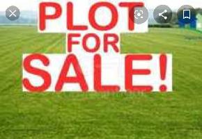  Commercial Land for Sale in Ram Bagh, Amritsar