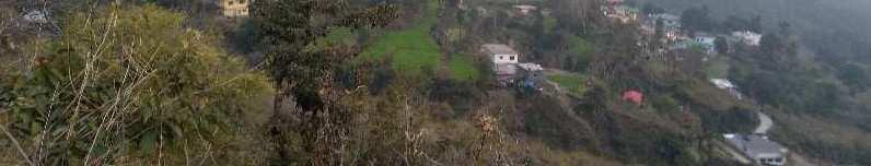  Agricultural Land for Sale in Mussoorie Road, Dehradun