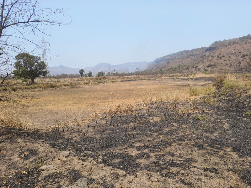  Agricultural Land 5 Acre for Sale in Khalapur, Navi Mumbai