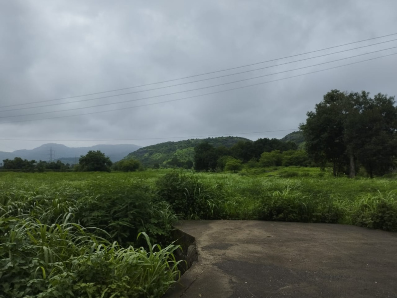  Agricultural Land 5 Acre for Sale in Khalapur, Navi Mumbai