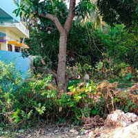  Residential Plot for Sale in Teachers Colony, Tanuku, West Godavari