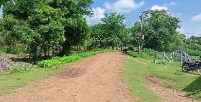  Agricultural Land for Sale in Gopalapuram, West Godavari