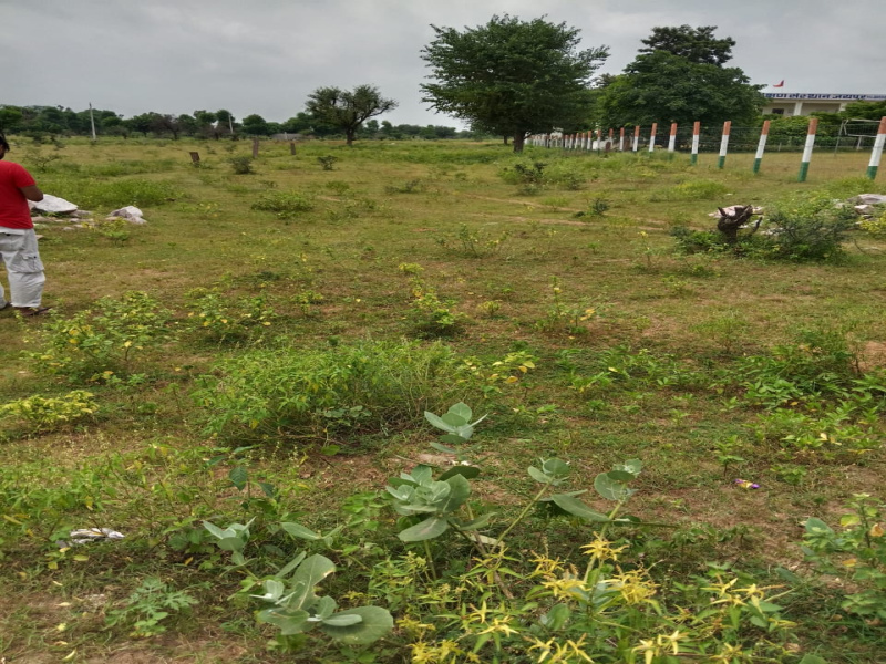  92 Bigha Agricultural/Farm Land for Sale in Ajmer Road, Jaipur