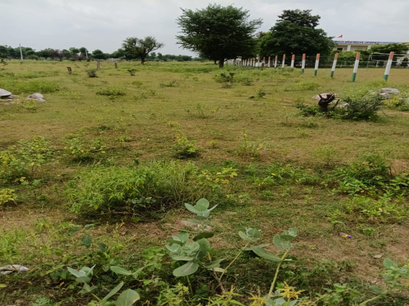  92 Bigha Agricultural/Farm Land for Sale in Ajmer Road, Jaipur
