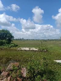  Commercial Land for Sale in Sipasarubali, Puri