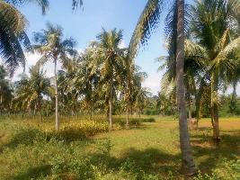  Agricultural Land for Sale in Seelapadi, Dindigul
