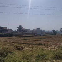  Residential Plot for Sale in Kailash Pur, Dehradun