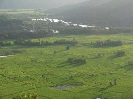 Agricultural Land for Sale in Neral, Mumbai