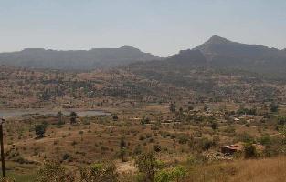  Agricultural Land for Sale in Karjat, Mumbai