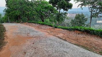  Agricultural Land for Sale in Mananthavady, Wayanad