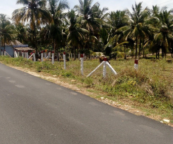  Agricultural Land for Sale in Sarcarsamakulam, Coimbatore