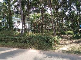  Residential Plot for Sale in Panniyannur, Kannur
