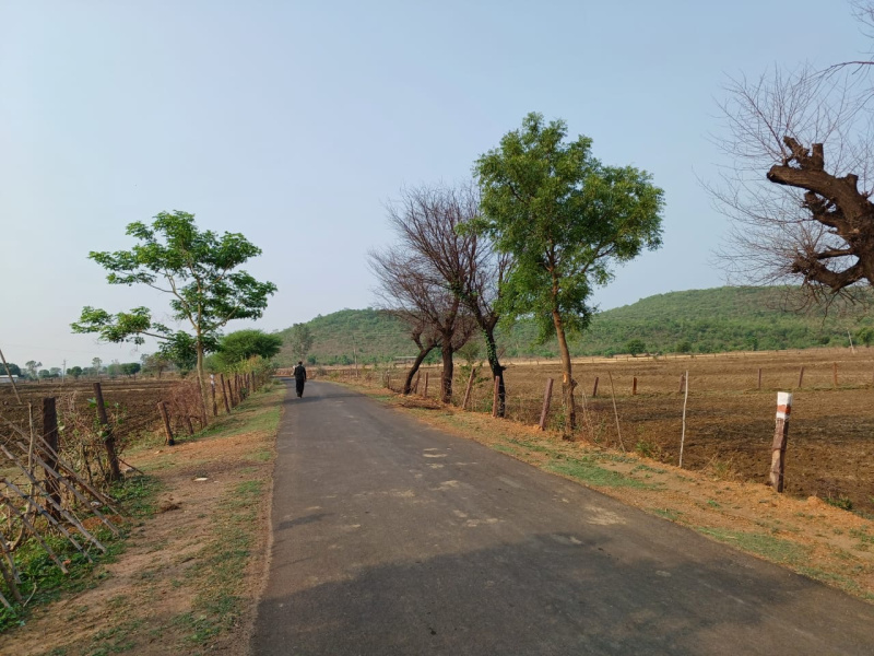  5 Acre Agricultural/Farm Land for Sale in Bilkisganj, Sehore
