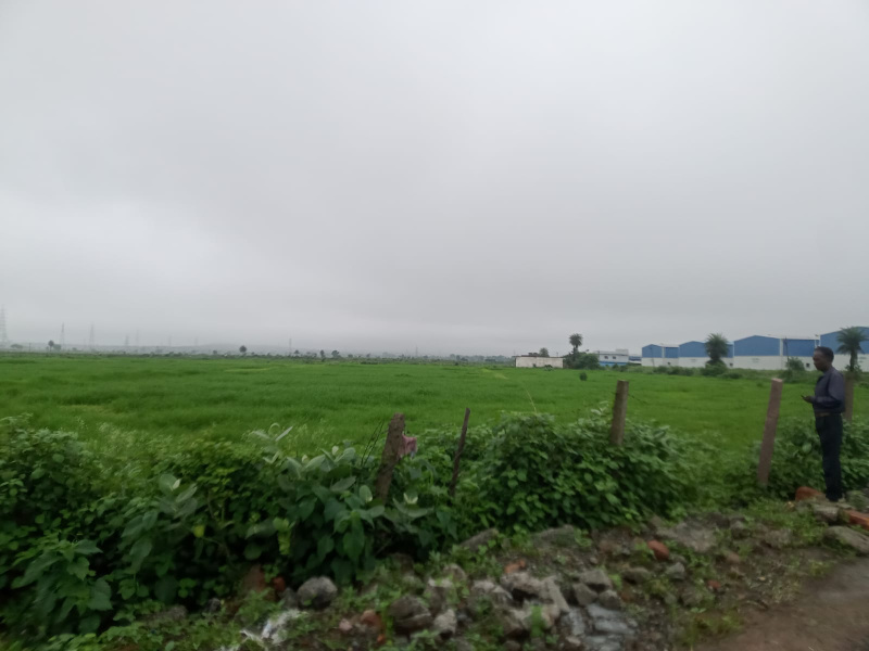  Agricultural Land 4 Acre for Sale in Parwaliya Sadak, Bhopal