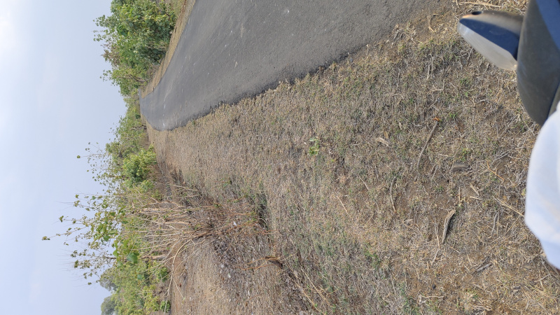  Agricultural Land 22 Acre for Sale in Bhaunri, Bhopal