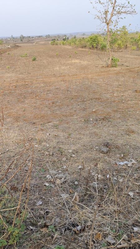 Agricultural Land 22 Acre for Sale in Bhaunri, Bhopal