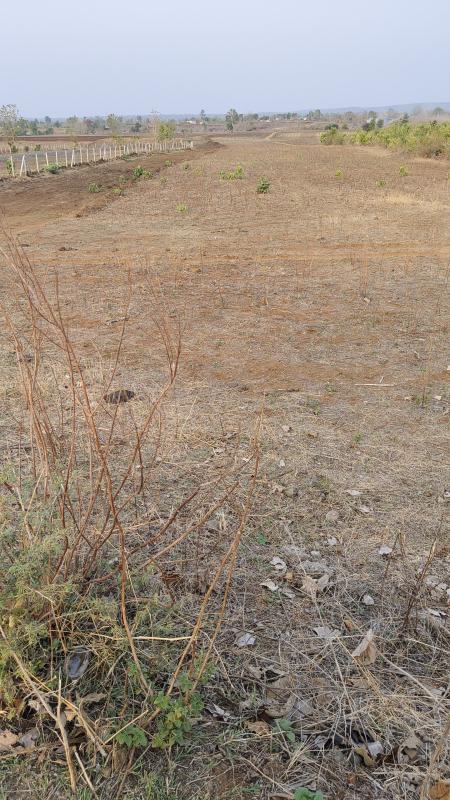  Agricultural Land 22 Acre for Sale in Bhaunri, Bhopal