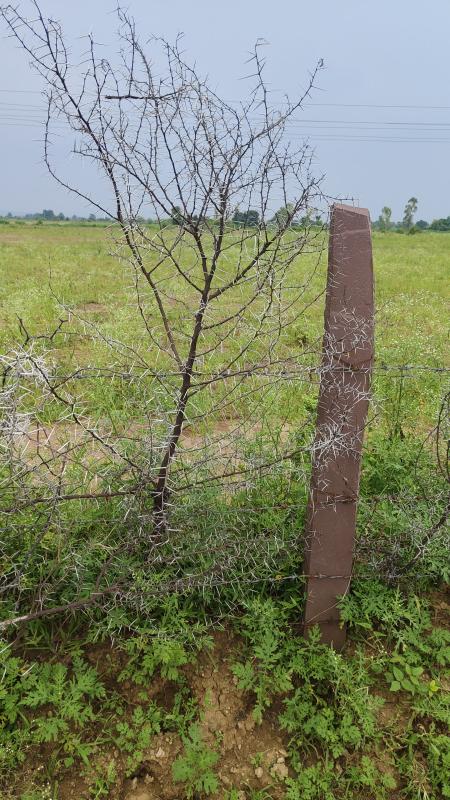  Agricultural Land 3 Acre for Sale in Airport Road, Airport Road, Bhopal