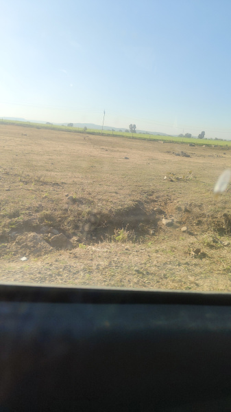  Agricultural Land 10 Acre for Sale in Parwaliya Sadak, Bhopal