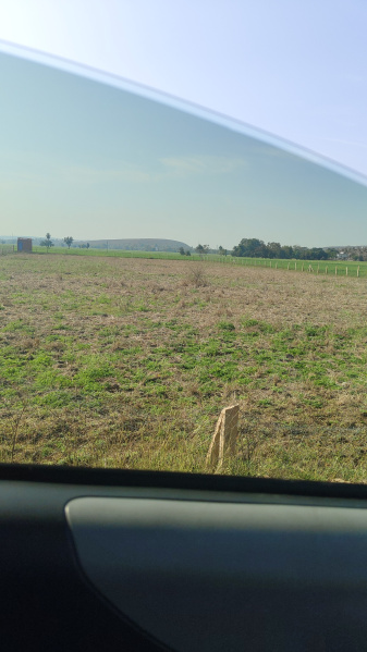  Agricultural Land 11 Acre for Sale in Bareli, Raisen