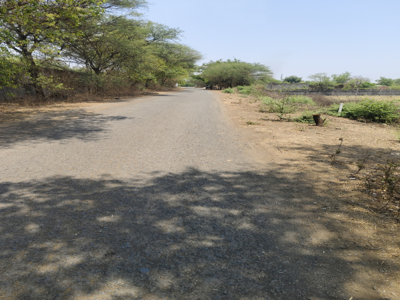  Agricultural Land 8000 Sq.ft. for Sale in Bhaunri, Bhopal