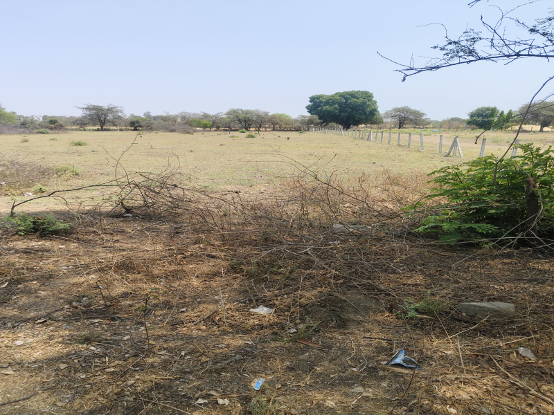  Agricultural Land 8000 Sq.ft. for Sale in Bhaunri, Bhopal